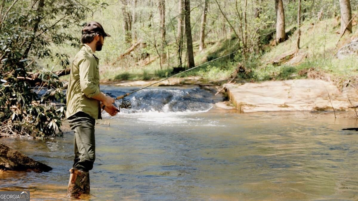 500 Big Sky Trail Dahlonega - Photo 6