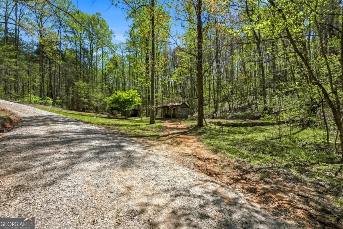500 Big Sky Trail Dahlonega - Photo 9