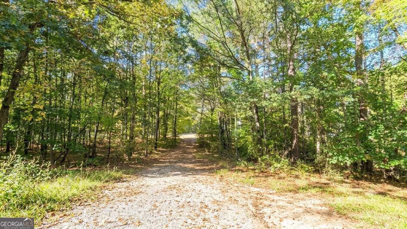 377 Dock Hyde Road Carrollton - Photo 13