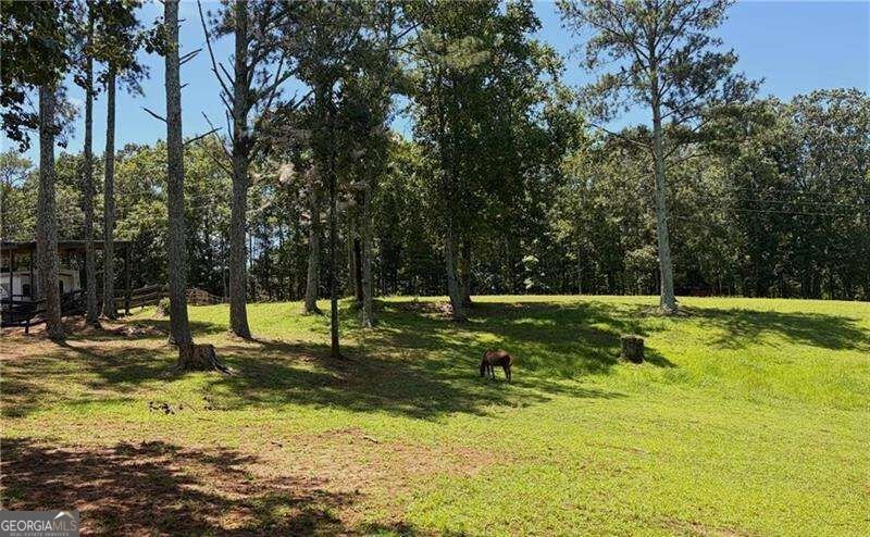 3204 Reavis Mountain Road Ball Ground - Photo 13