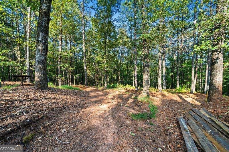 3204 Reavis Mountain Road Ball Ground - Photo 74
