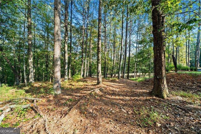 3204 Reavis Mountain Road Ball Ground - Photo 75