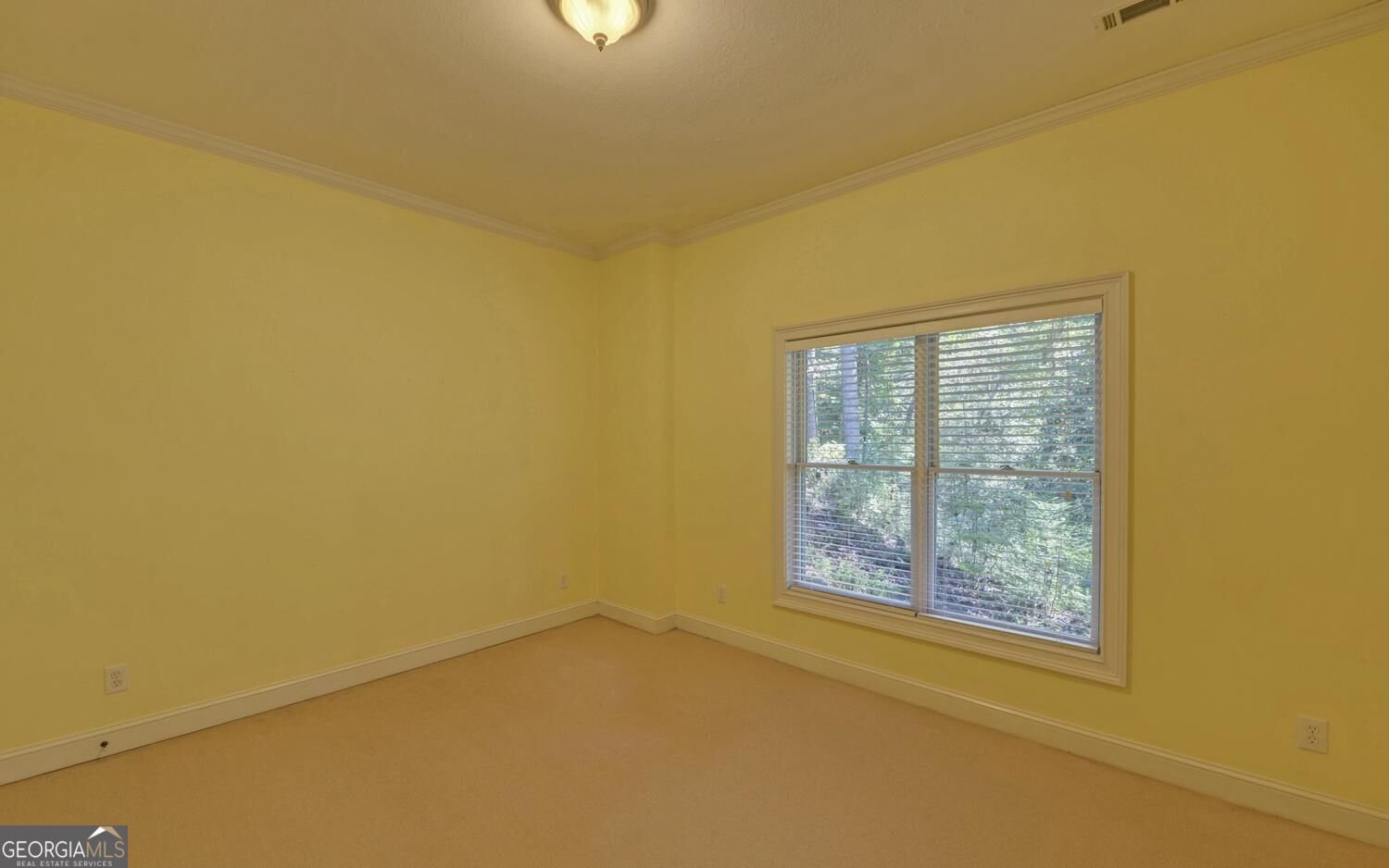 260 Cross Creek Trail Dahlonega - Photo 50