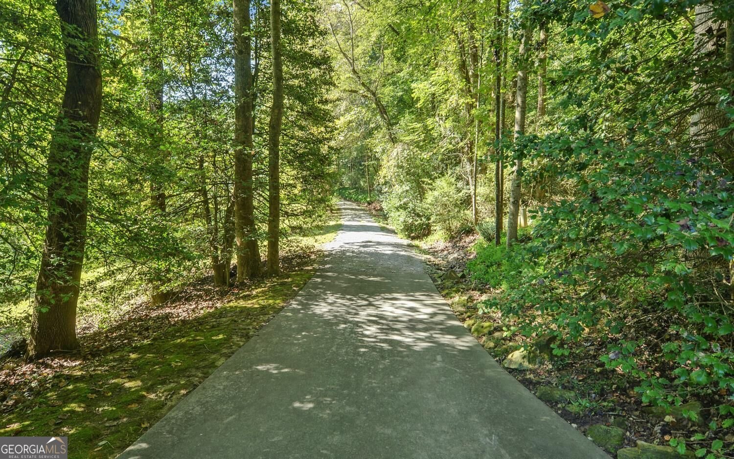 260 Cross Creek Trail Dahlonega - Photo 61