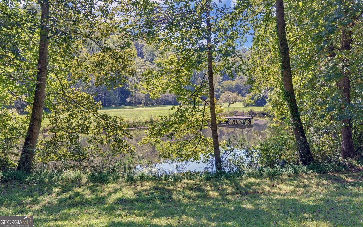 260 Cross Creek Trail Dahlonega - Photo 68