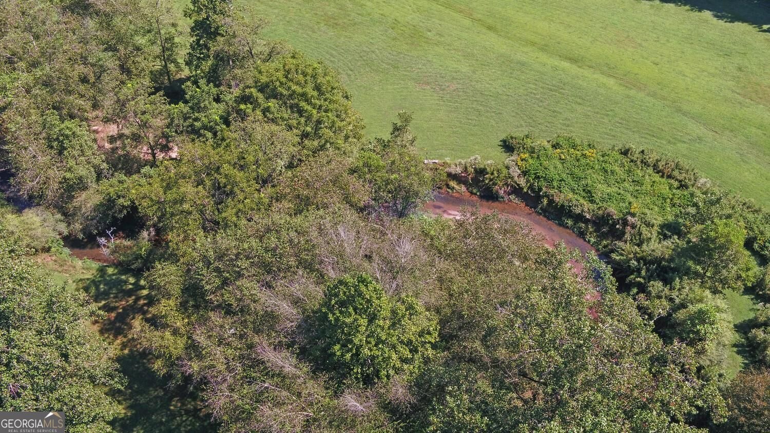 260 Cross Creek Trail Dahlonega - Photo 74