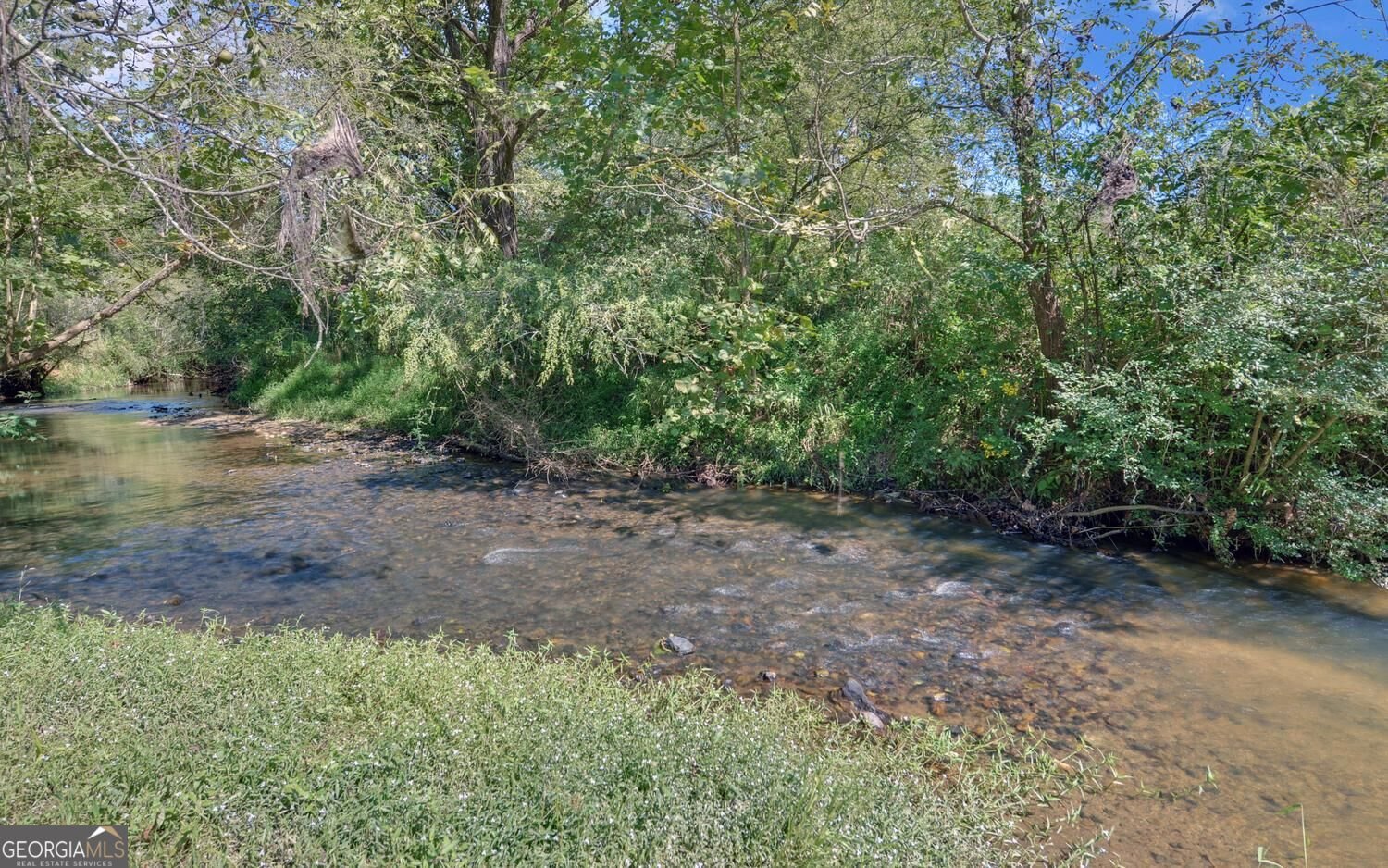 260 Cross Creek Trail Dahlonega - Photo 75