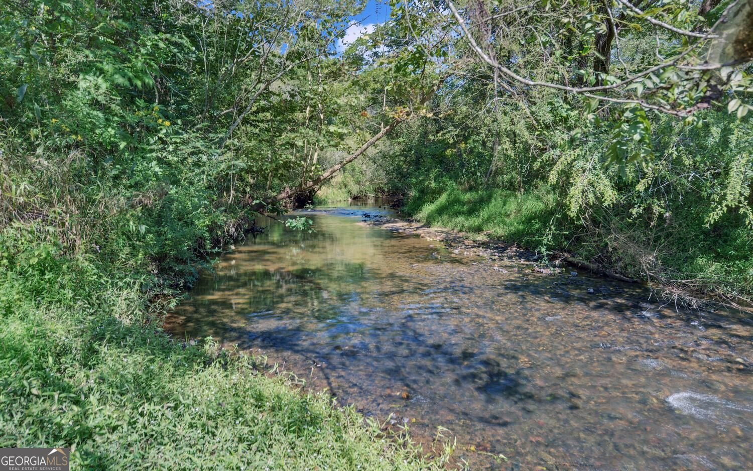 260 Cross Creek Trail Dahlonega - Photo 76