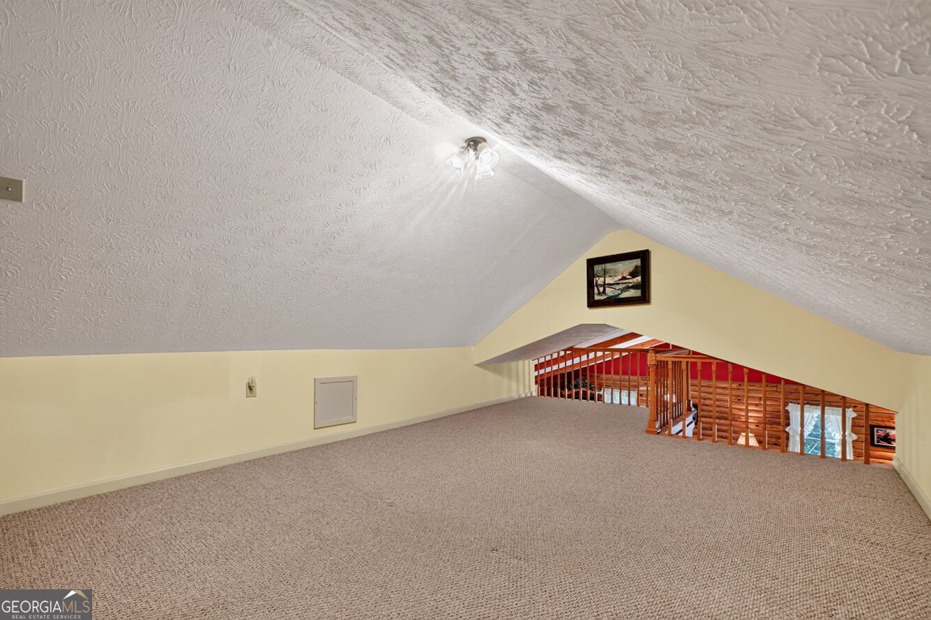 7233 Shakerag Road Ellijay - Photo 47