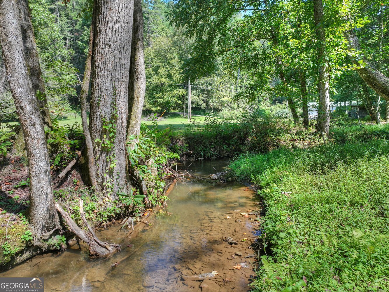 7233 Shakerag Road Ellijay - Photo 57