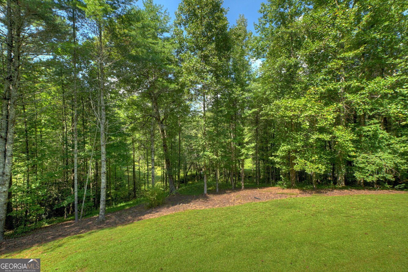7233 Shakerag Road Ellijay - Photo 59