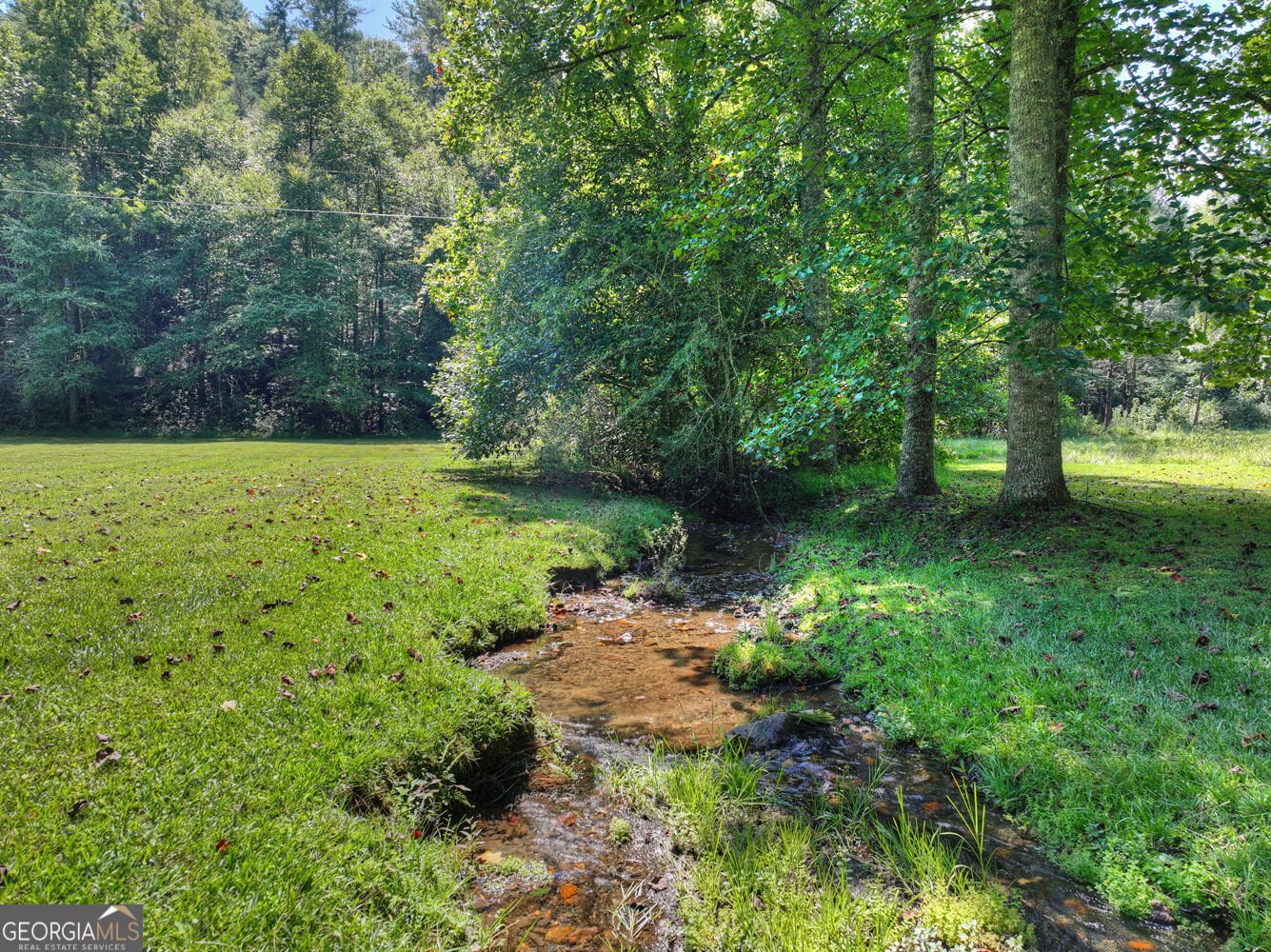 7233 Shakerag Road Ellijay - Photo 61