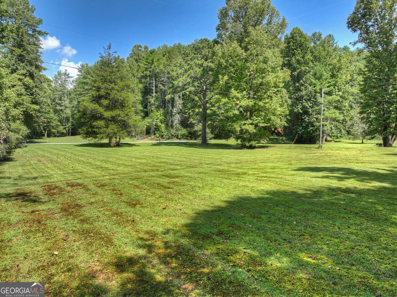 7233 Shakerag Road Ellijay - Photo 62