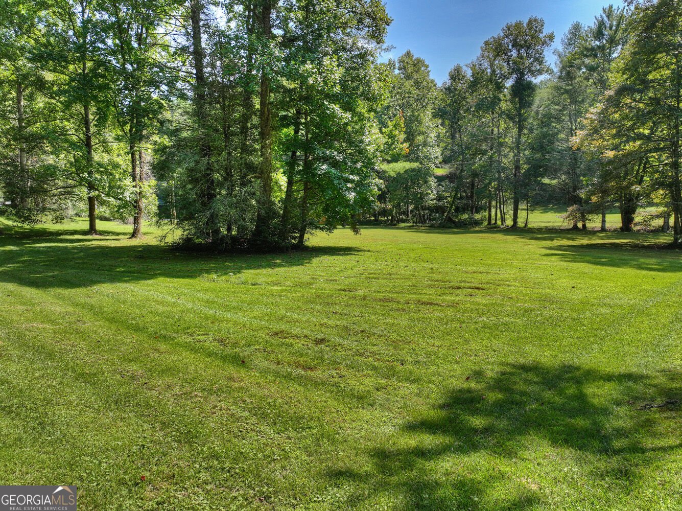 7233 Shakerag Road Ellijay - Photo 63