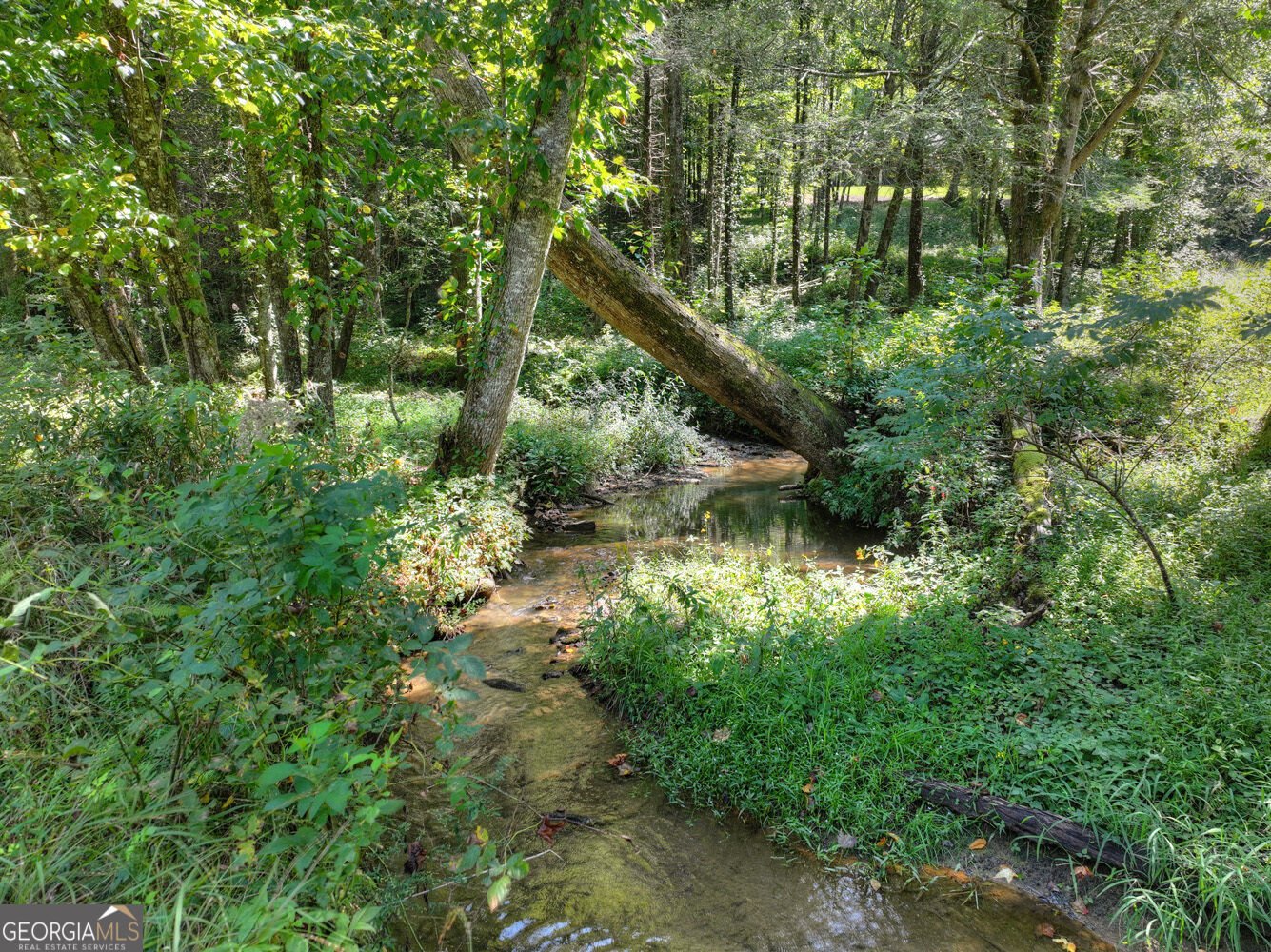 7233 Shakerag Road Ellijay - Photo 65