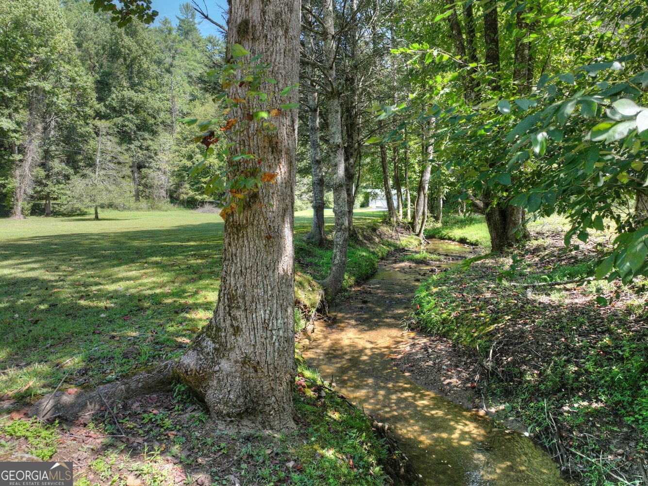 7233 Shakerag Road Ellijay - Photo 68