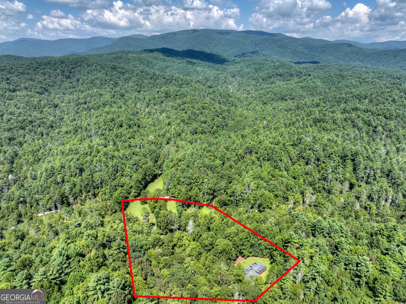 7233 Shakerag Road Ellijay - Photo 72
