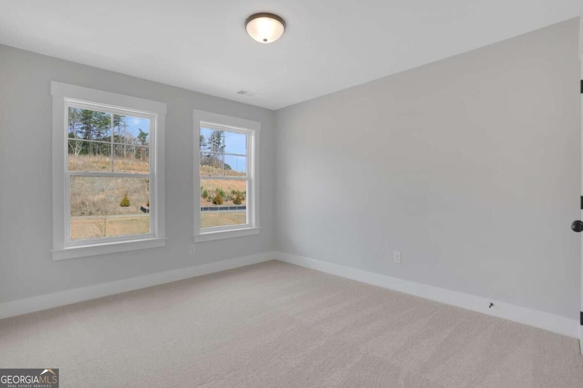 162 Marble Tree Way Ball Ground - Photo 26