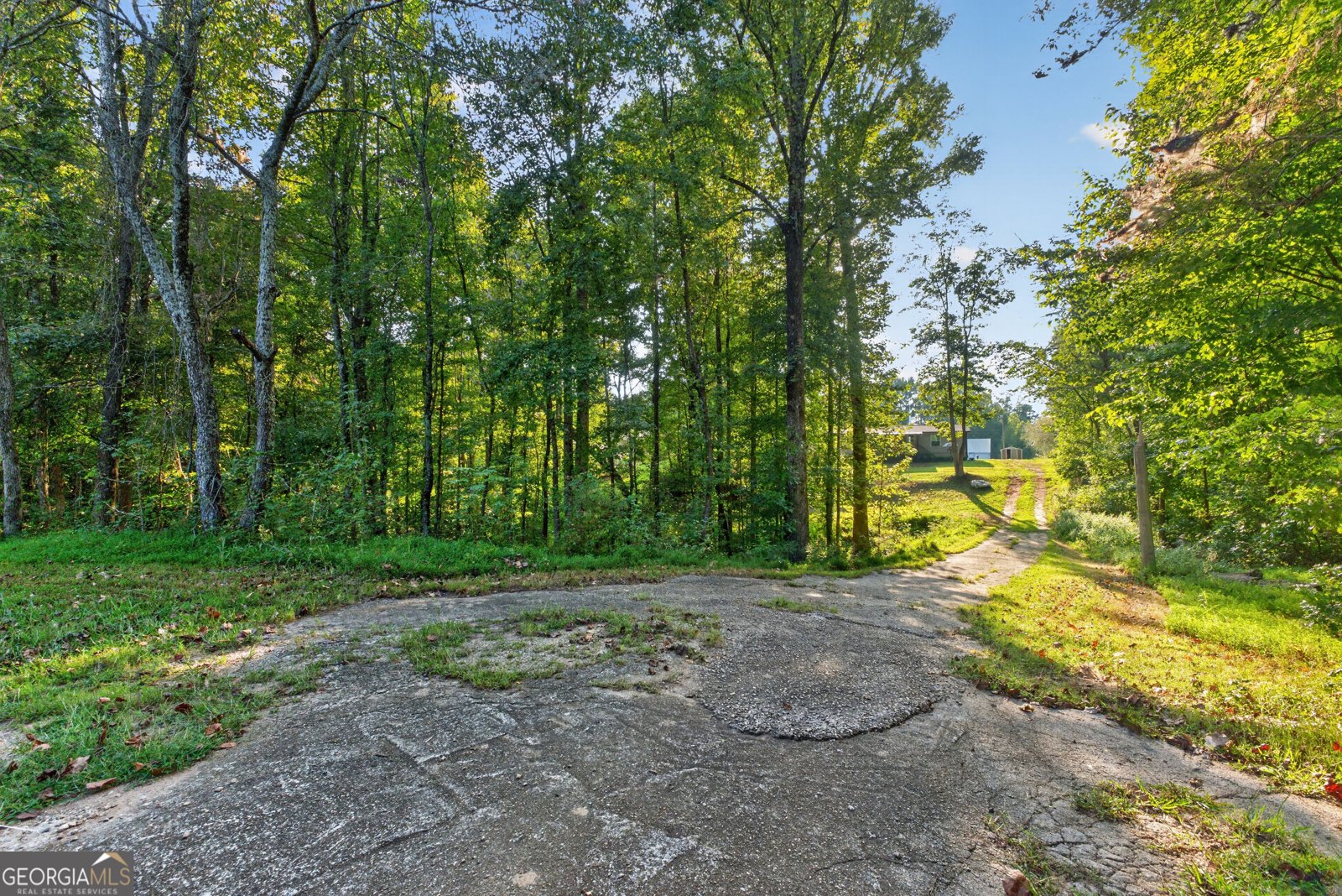1641 Old Dahlonega Highway Dahlonega - Photo 41