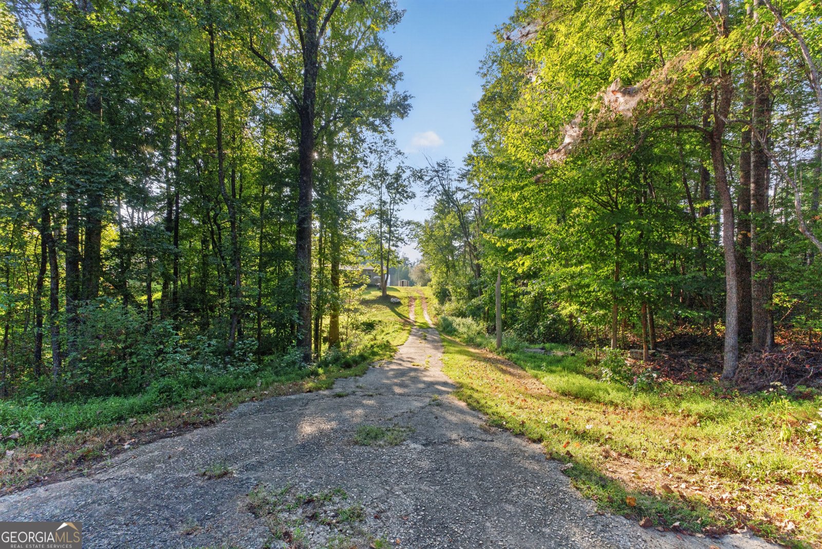 1641 Old Dahlonega Highway Dahlonega - Photo 42