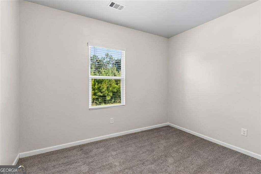 10 Easy Goer Court Cartersville - Photo 14