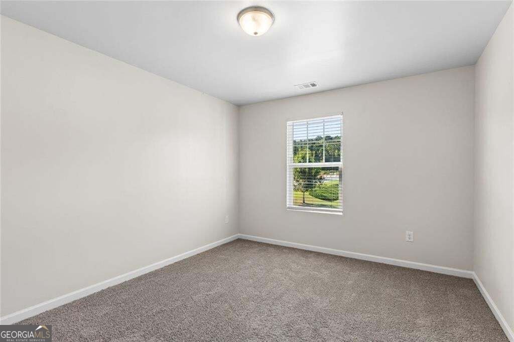 10 Easy Goer Court Cartersville - Photo 27