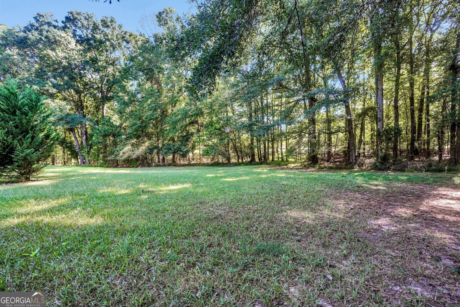 1004 Maddox Court Griffin - Photo 43