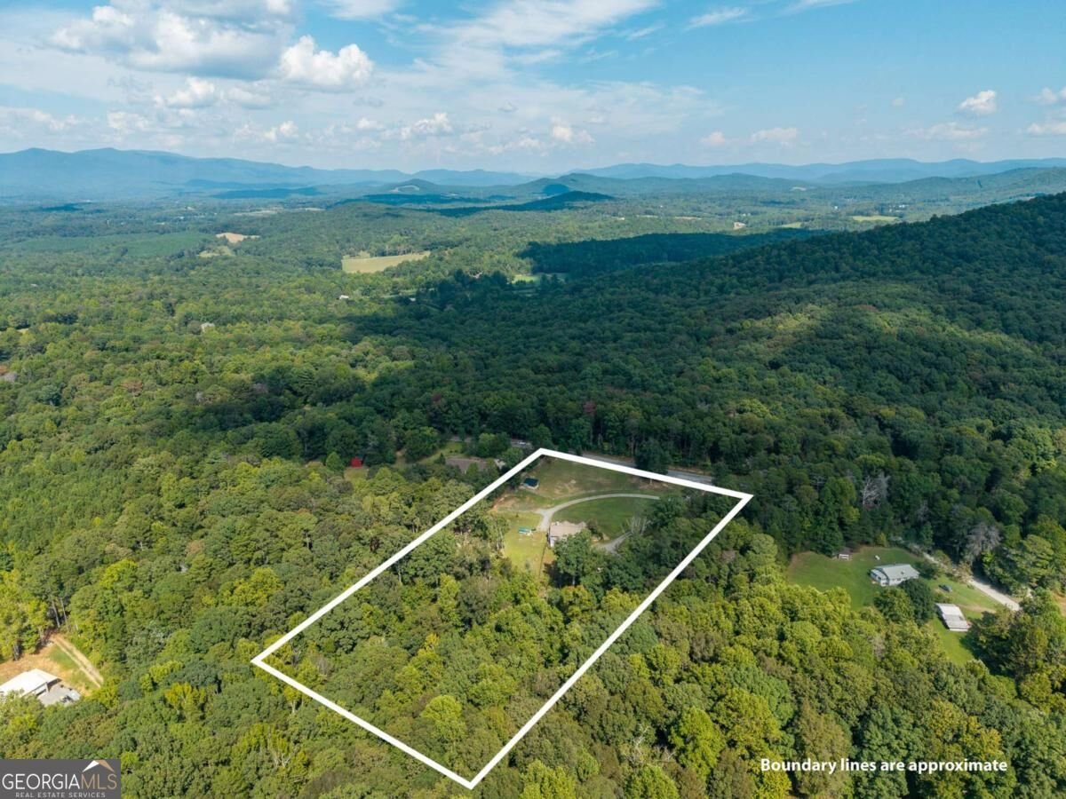 468 Homer Wright Road Ellijay - Photo 44