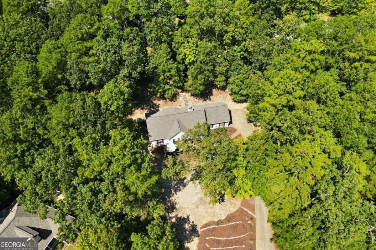 130 Walnut Court Waleska - Photo 33