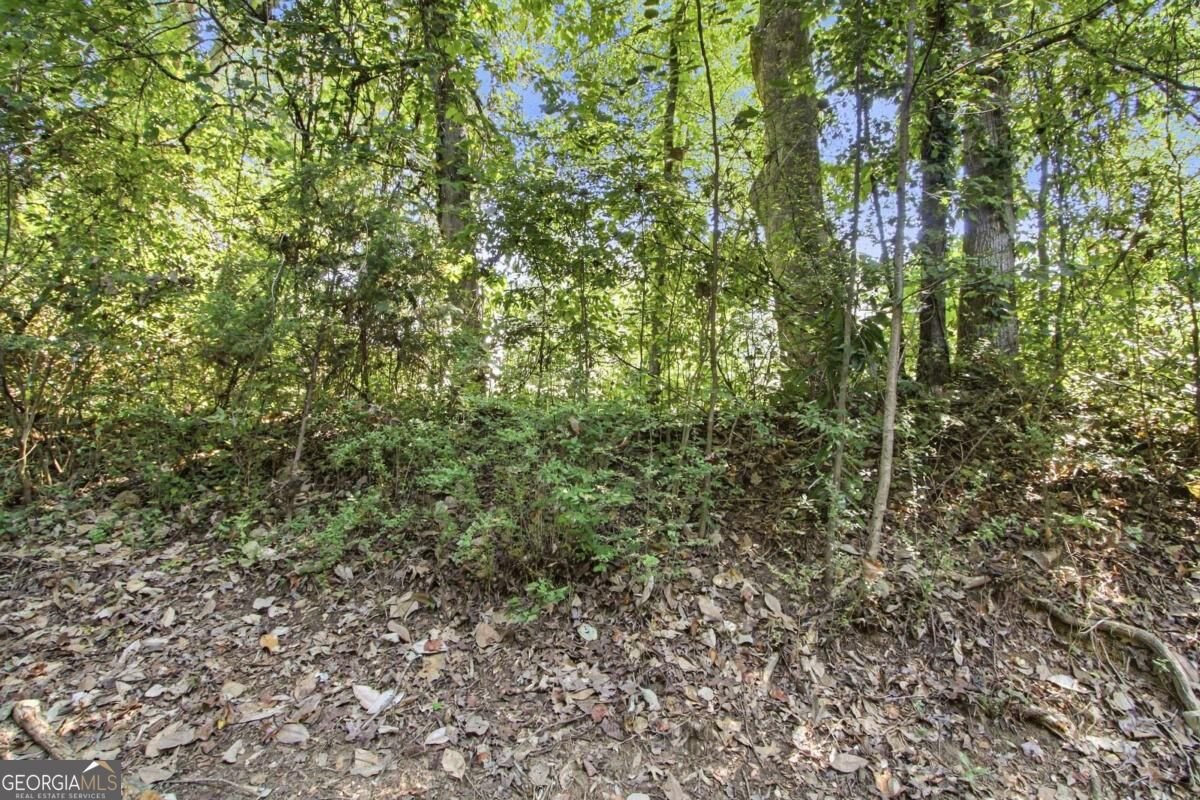 208 Park Street Dallas - Photo 18