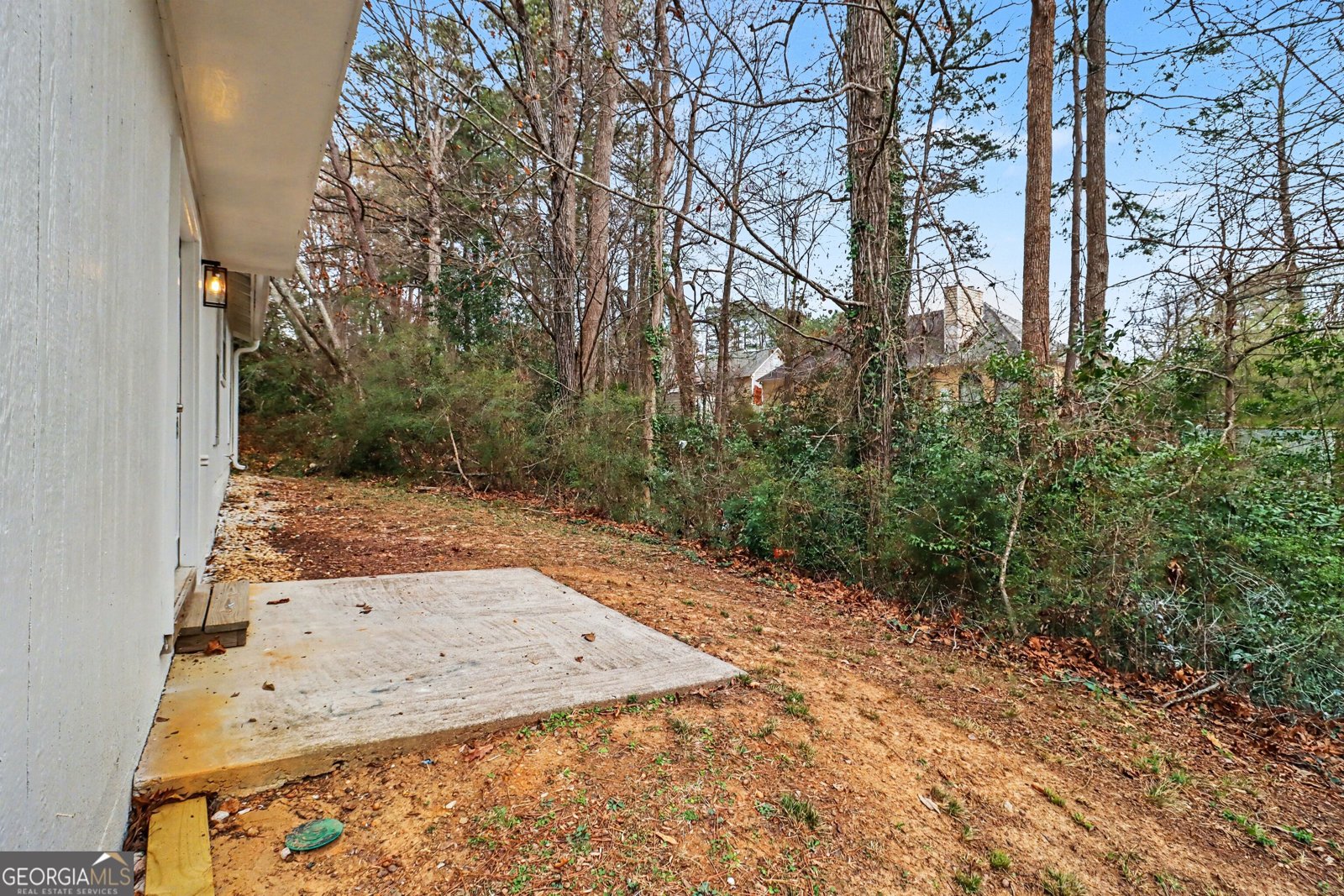 1188 Woodfield Trace Lithonia - Photo 29
