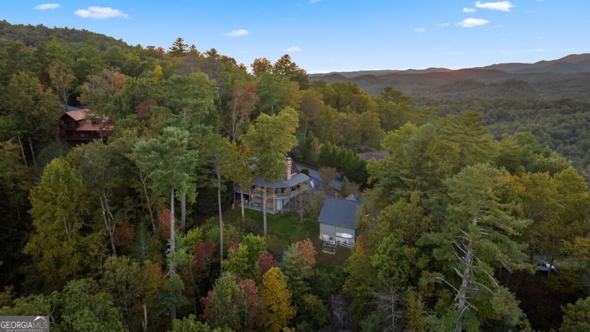709 Laurel Creek Trail Blue Ridge - Photo 35