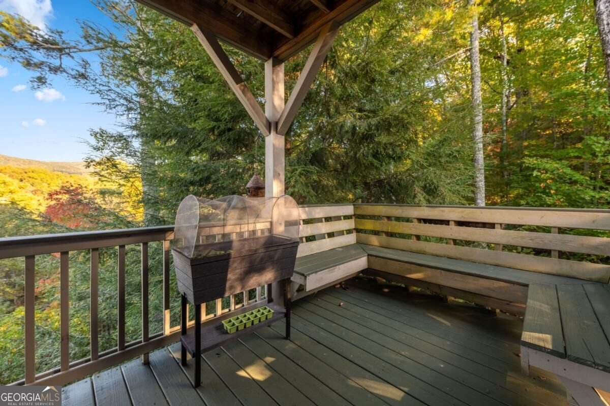 709 Laurel Creek Trail Blue Ridge - Photo 61