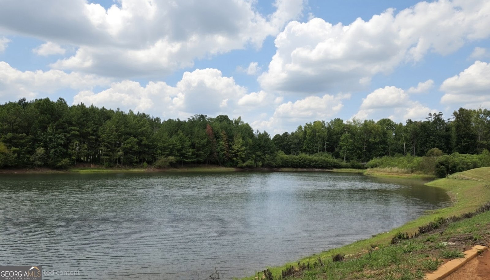 1035 Eagles Brooke Drive Locust Grove - Photo 46