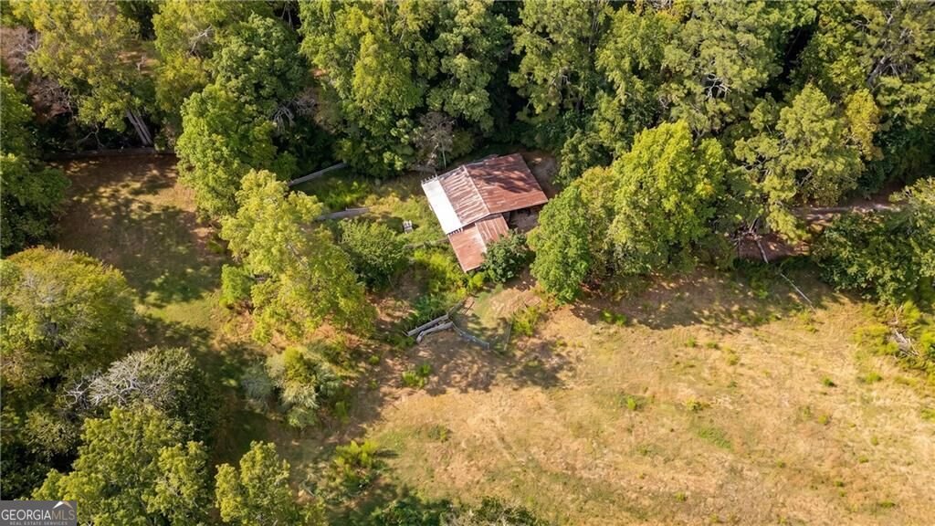 4353 Flatbottom Road Ball Ground - Photo 45