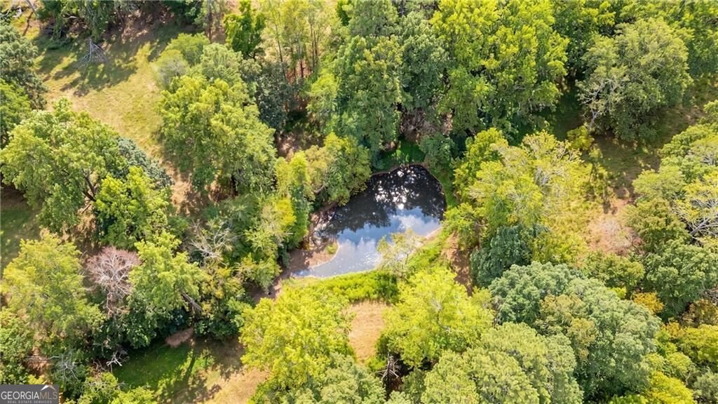 4353 Flatbottom Road Ball Ground - Photo 46