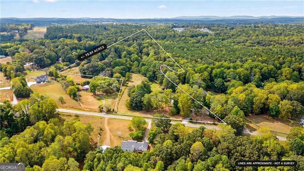 4353 Flatbottom Road Ball Ground - Photo 48