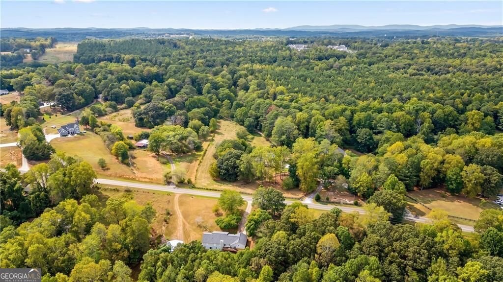 4353 Flatbottom Road Ball Ground - Photo 49
