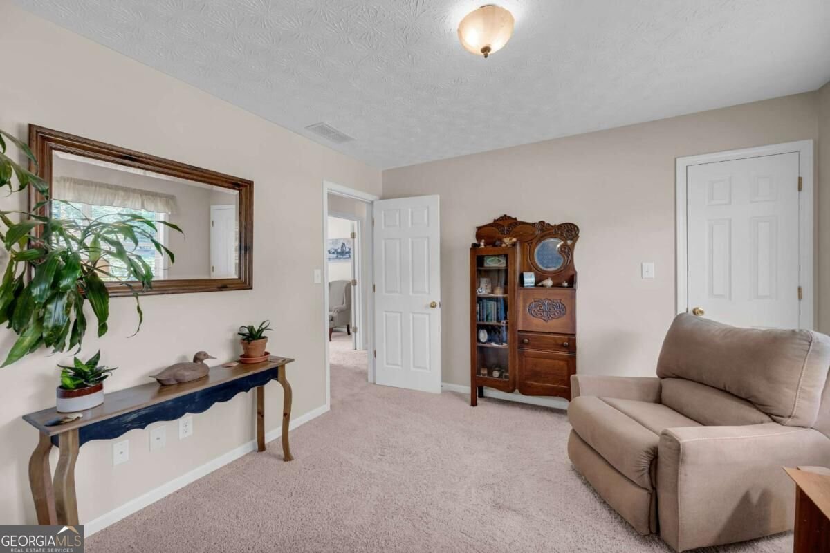 4894 Watson Mill Court Loganville - Photo 30