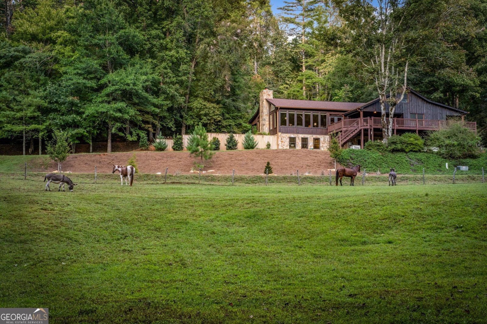 361 Forest Service Road Epworth - Photo 45