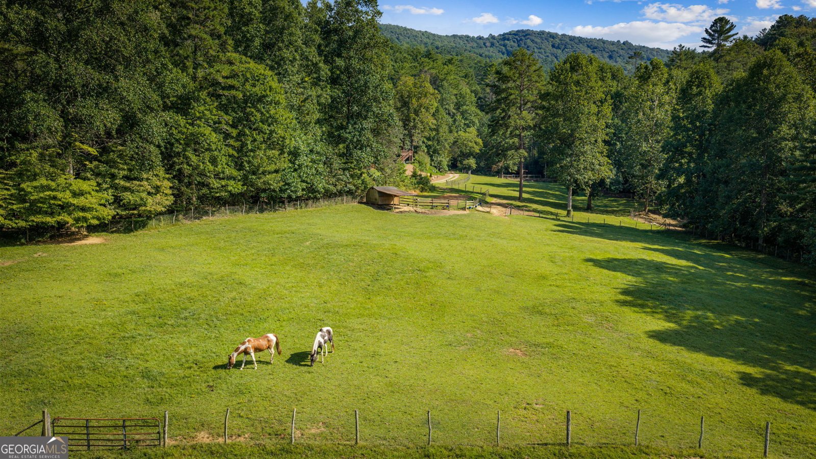 361 Forest Service Road Epworth - Photo 47