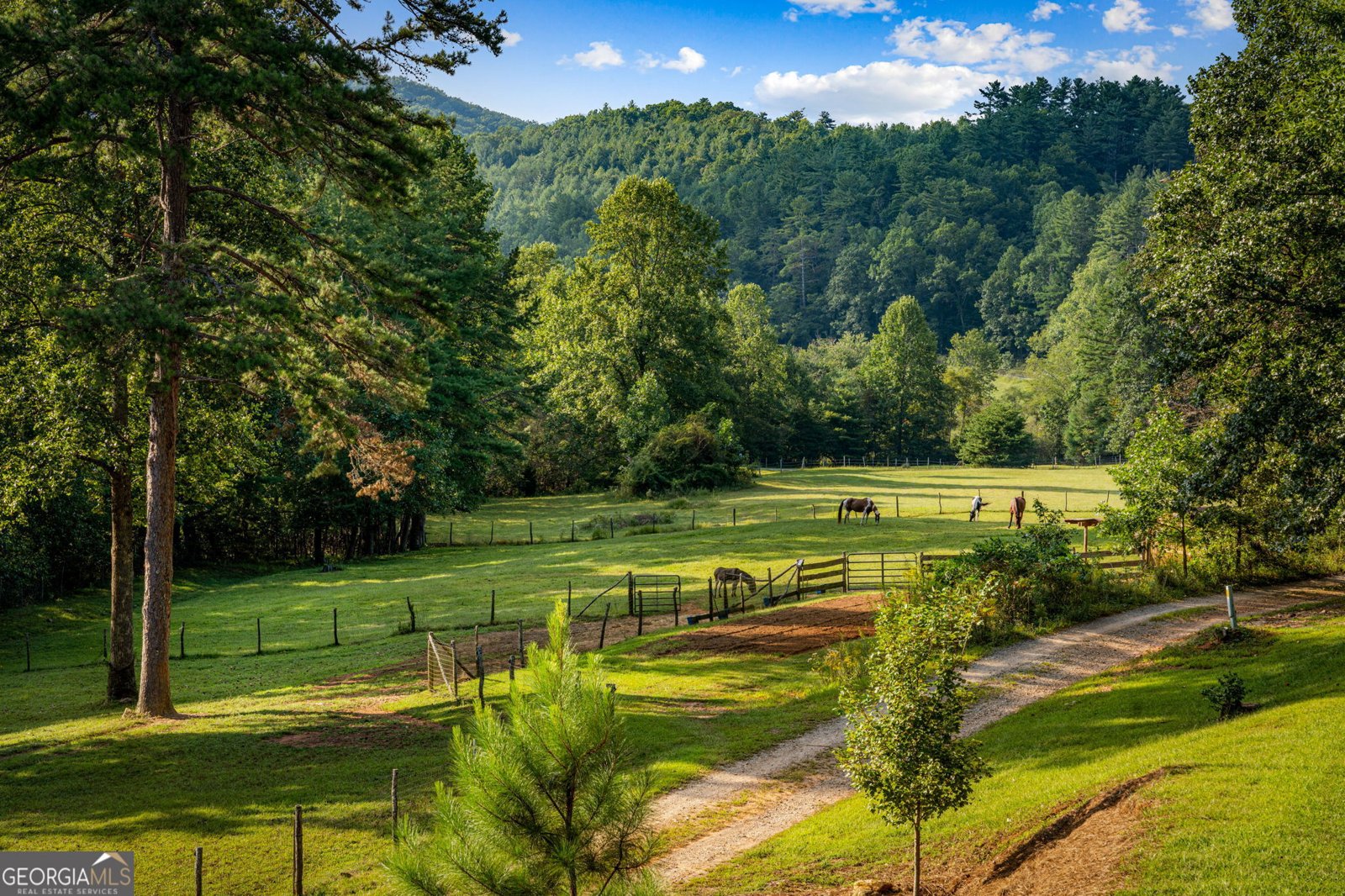 361 Forest Service Road Epworth - Photo 48