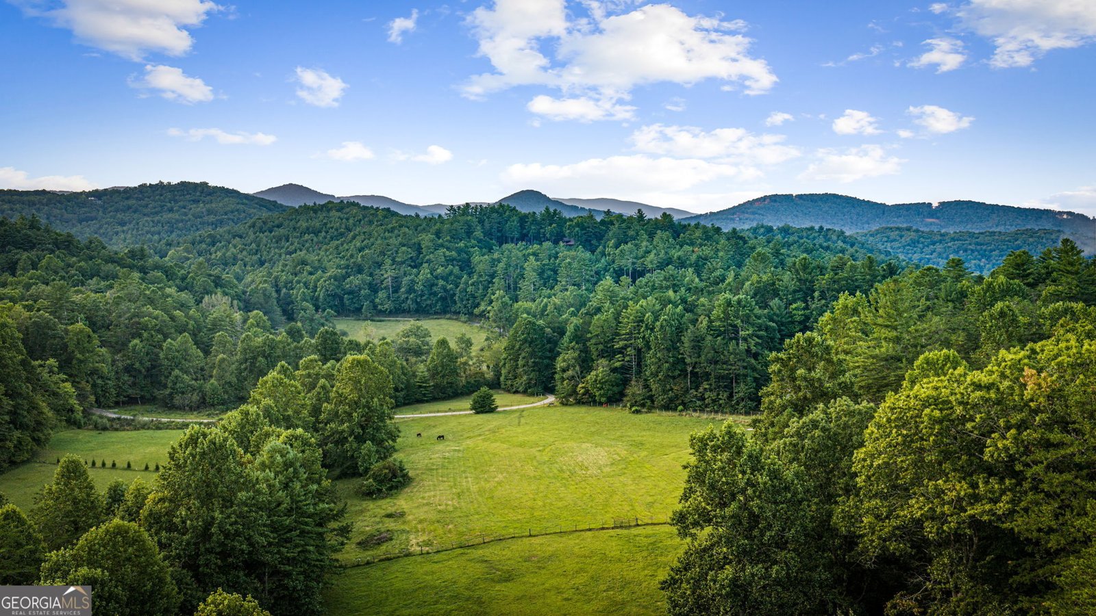 361 Forest Service Road Epworth - Photo 49