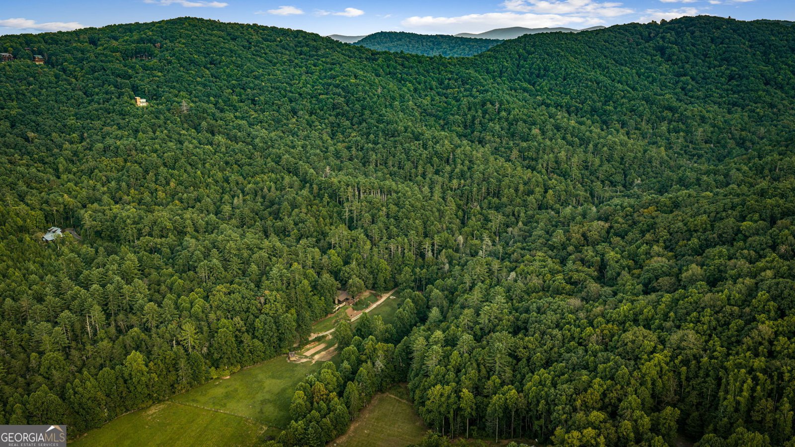 361 Forest Service Road Epworth - Photo 72
