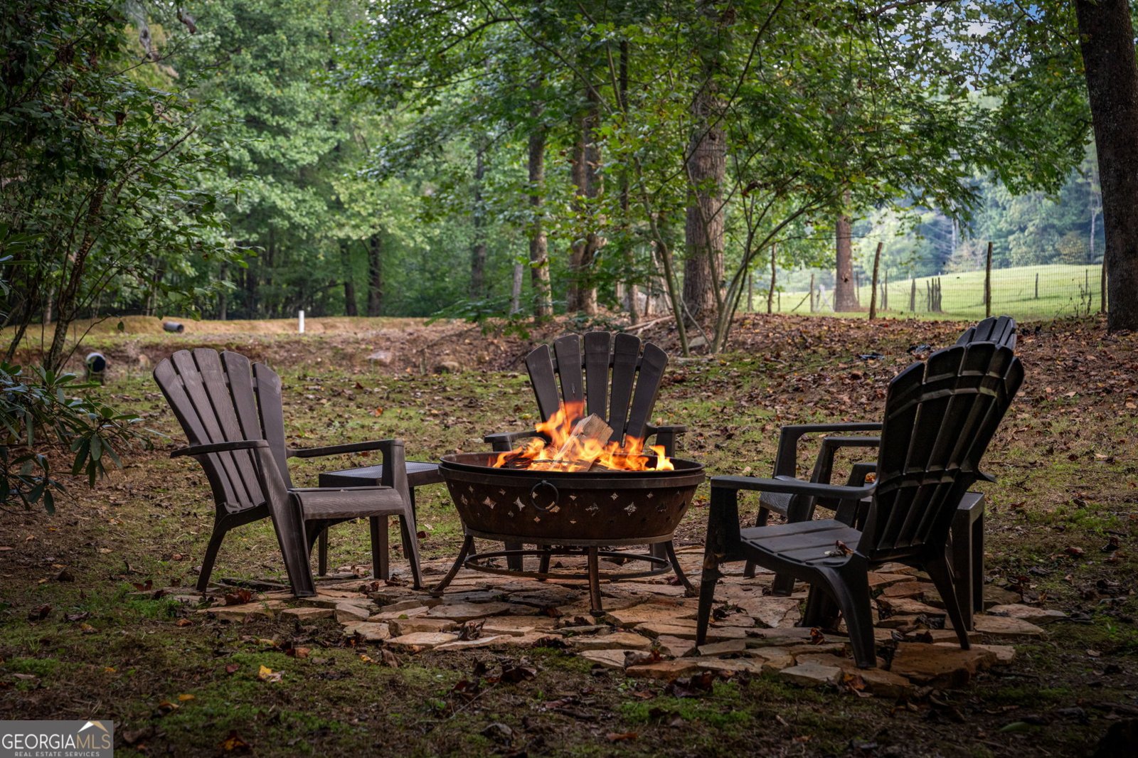 361 Forest Service Road Epworth - Photo 74