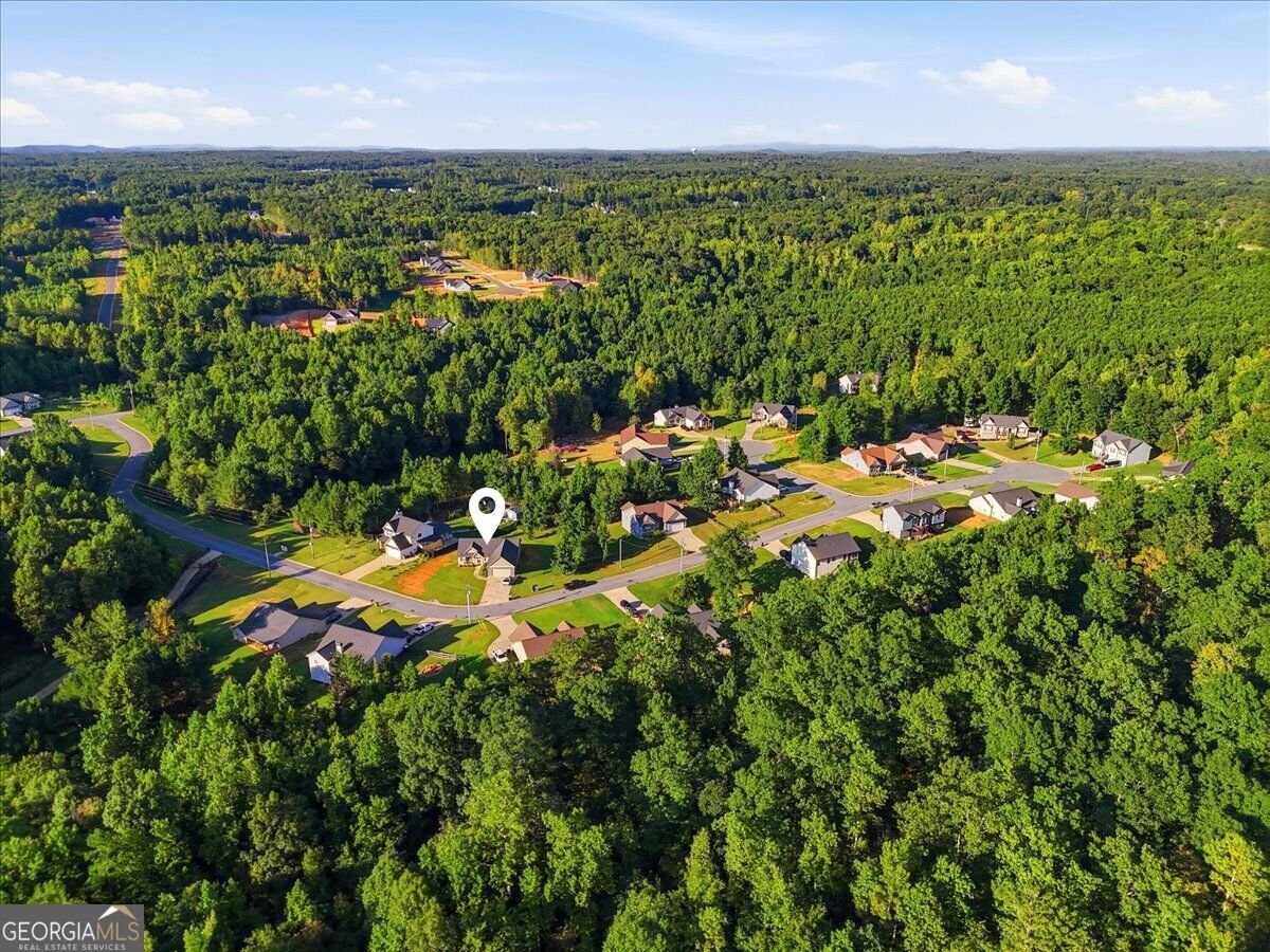 161 White Creek Drive Rockmart - Photo 8