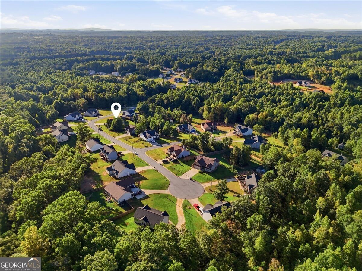 161 White Creek Drive Rockmart - Photo 9