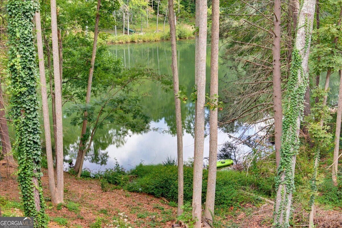 3040 Cypress Cove Ball Ground - Photo 36