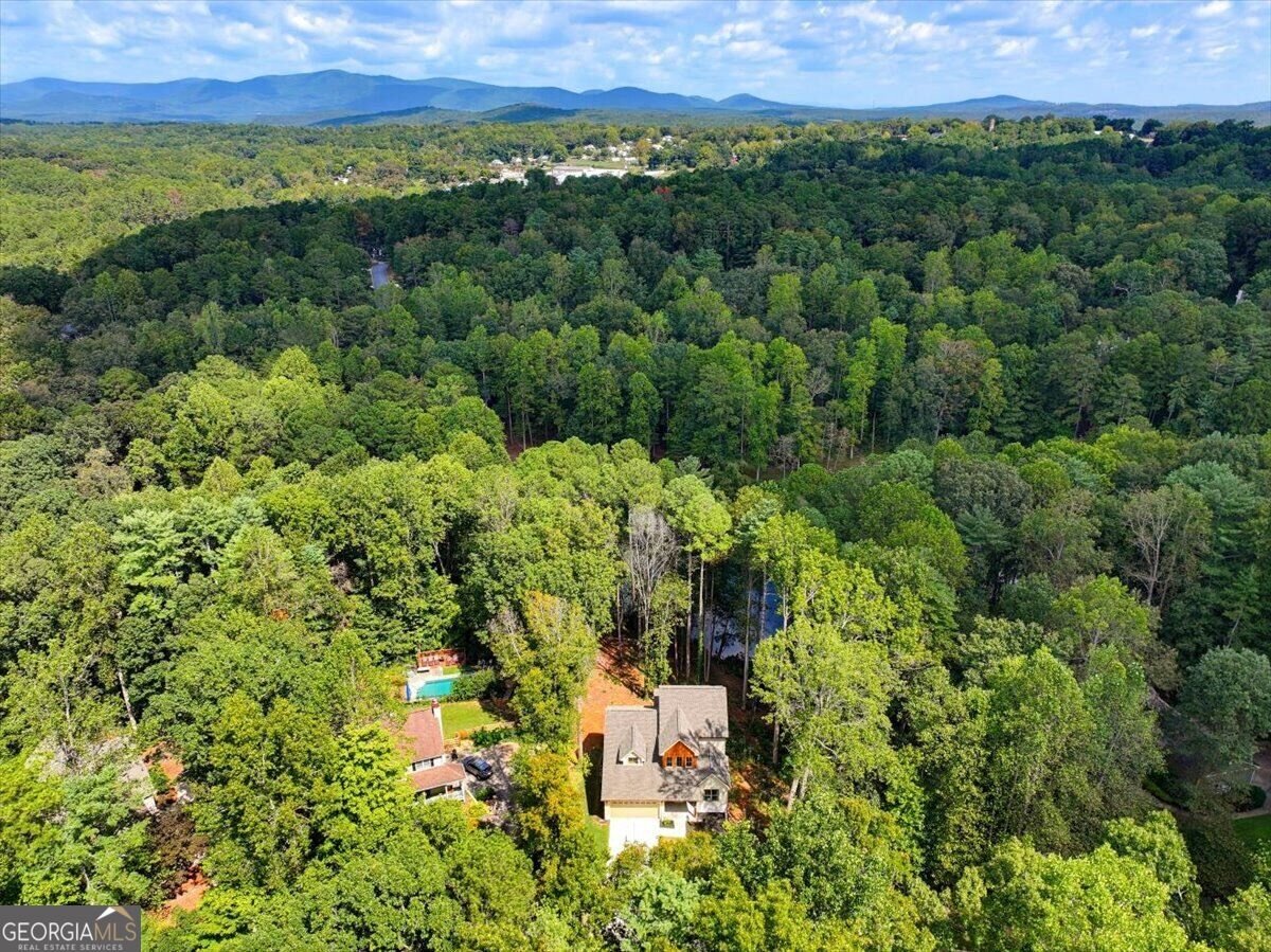 3040 Cypress Cove Ball Ground - Photo 39