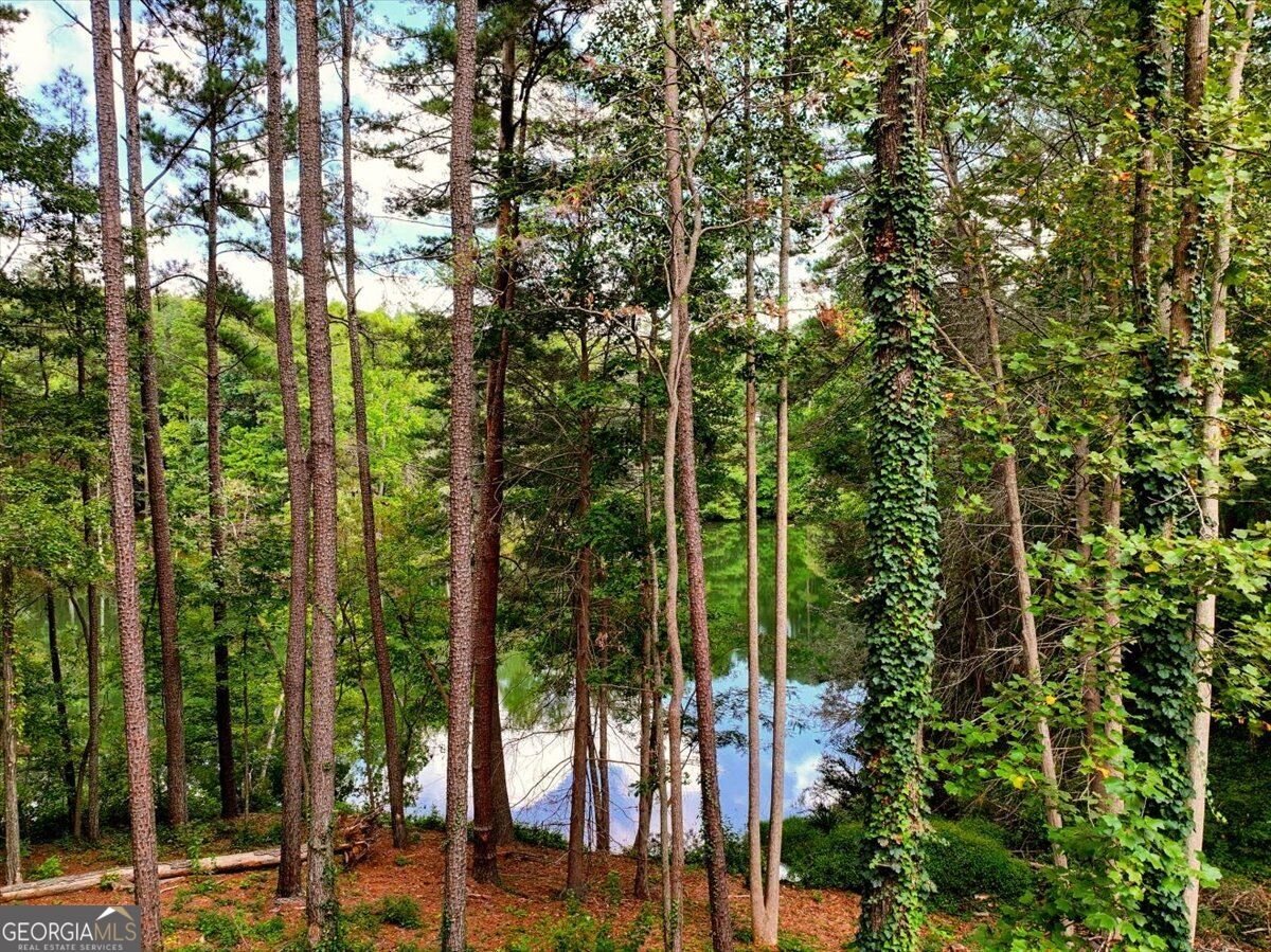 3040 Cypress Cove Ball Ground - Photo 41